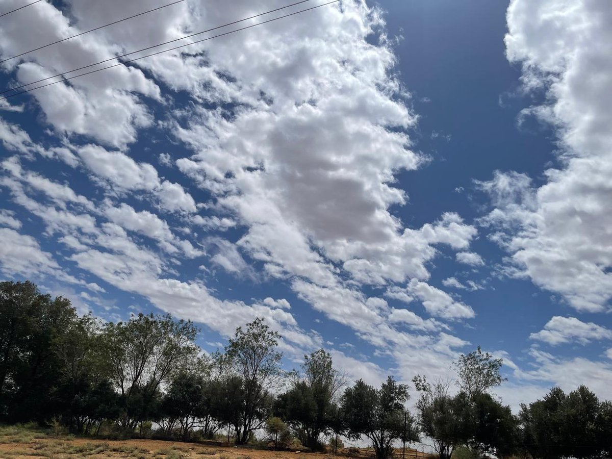 عبدالله بن محمد أبابطين tweet media