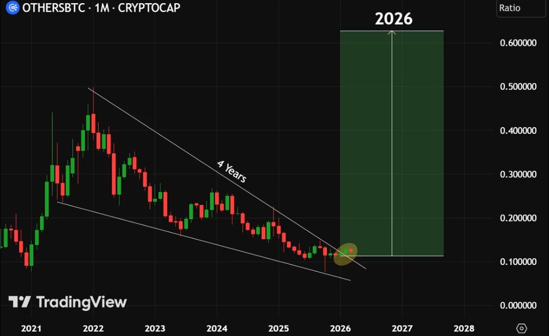 Shahnawaz⚡ tweet media