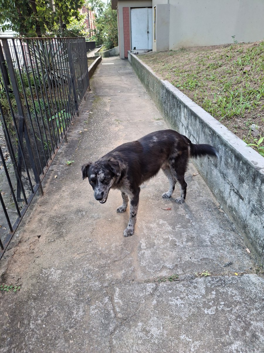 perita criminal do futuro🍒 tweet media