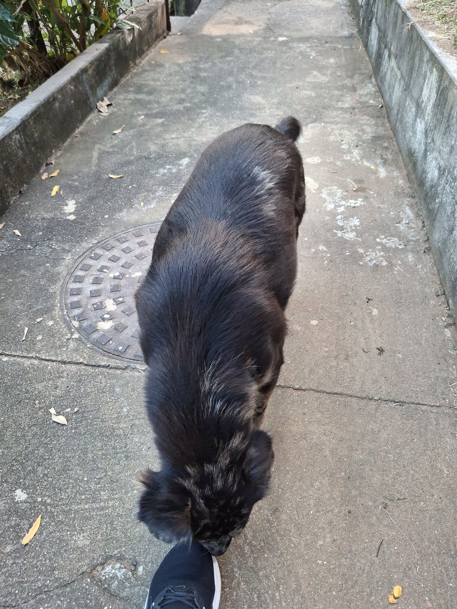 perita criminal do futuro🍒 tweet media