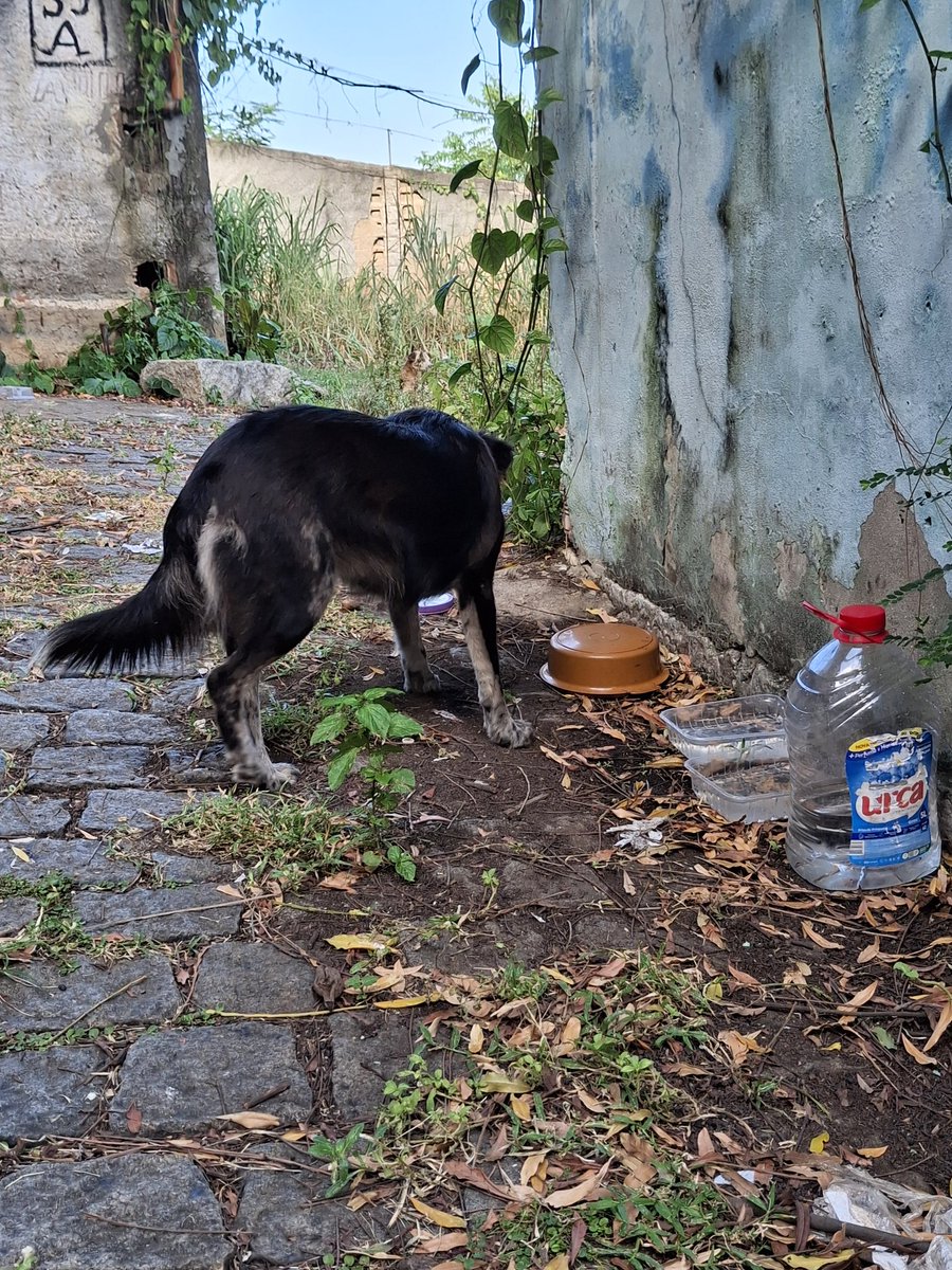 perita criminal do futuro🍒 tweet media