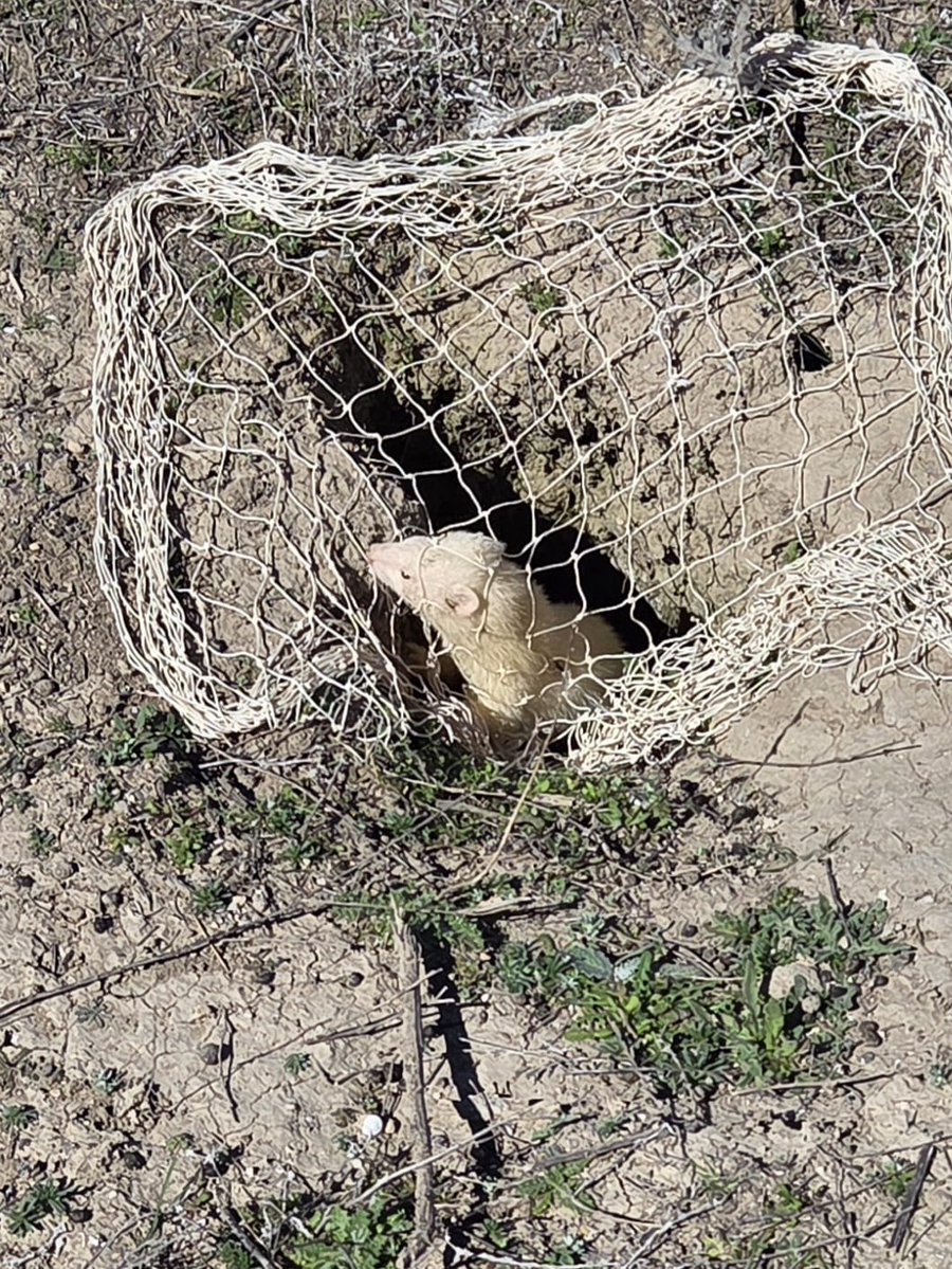 UPA Castilla-La Mancha tweet media