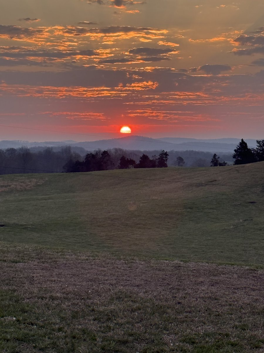 Crista Thacker •CT3• tweet media