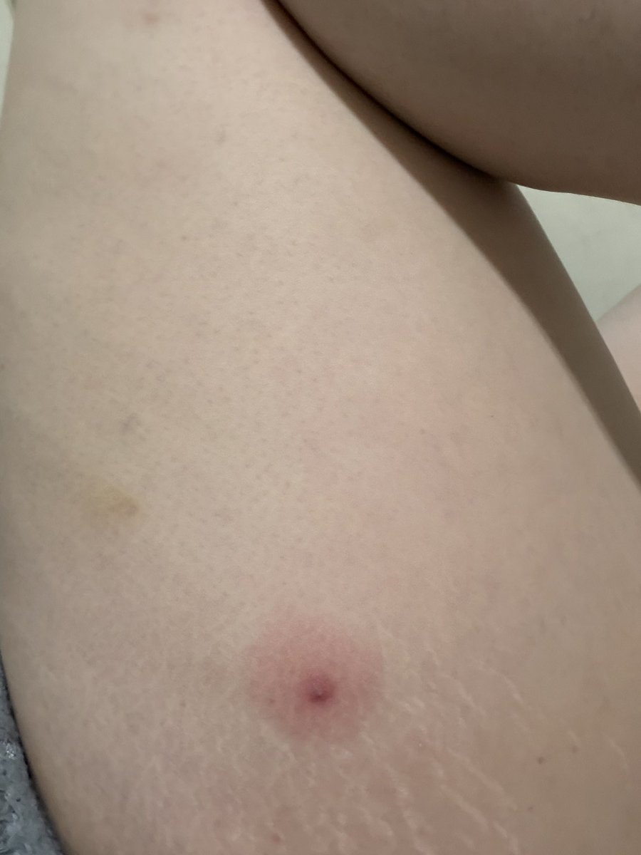 憂鬱的時尚鴛鴦✞ tweet media