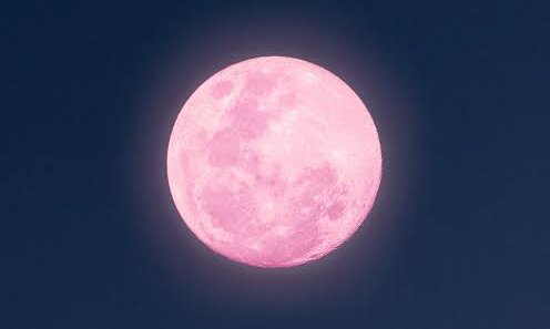 ✮⋆˙ tweet media