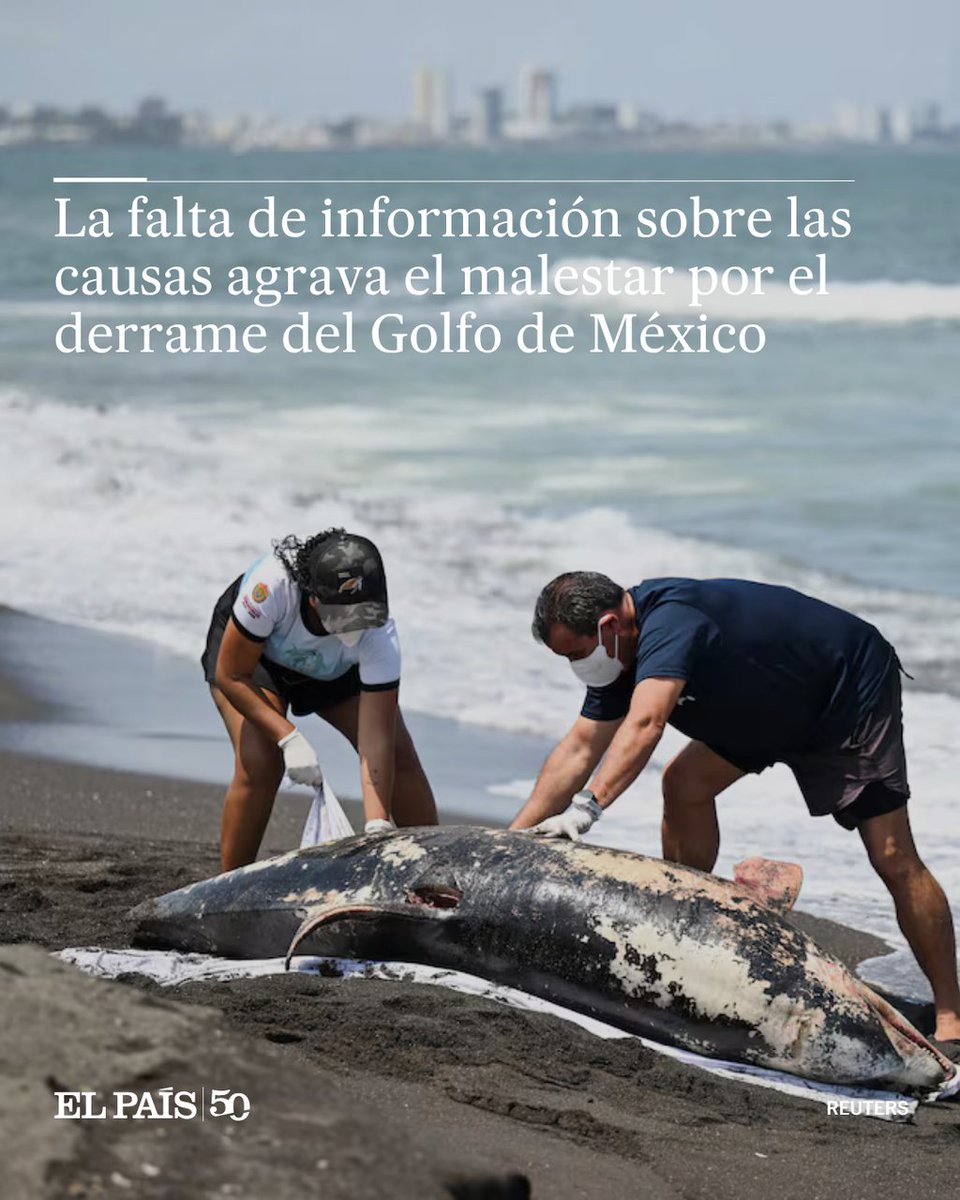 EL PAÍS México tweet media