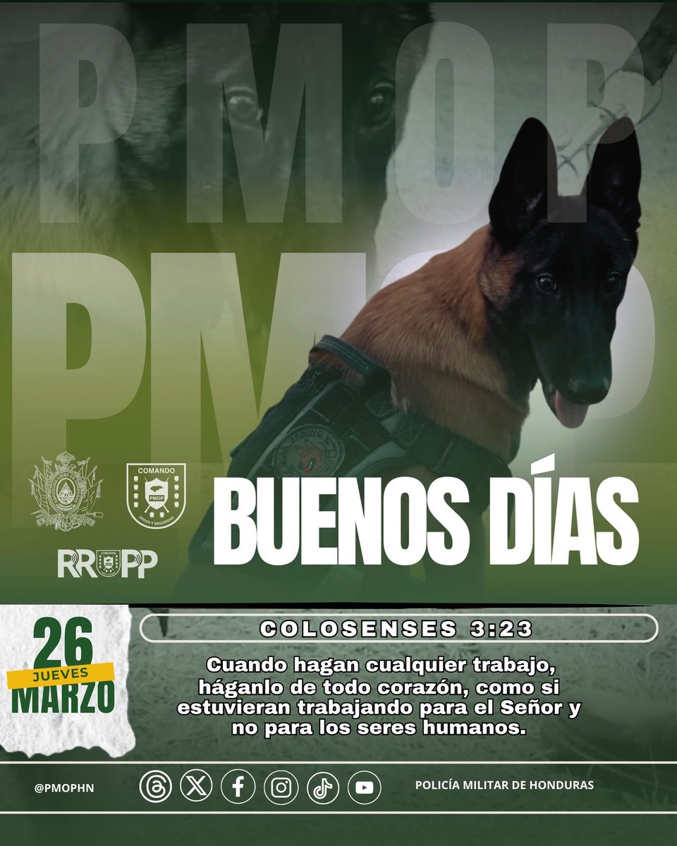 Policía Militar de Honduras tweet media