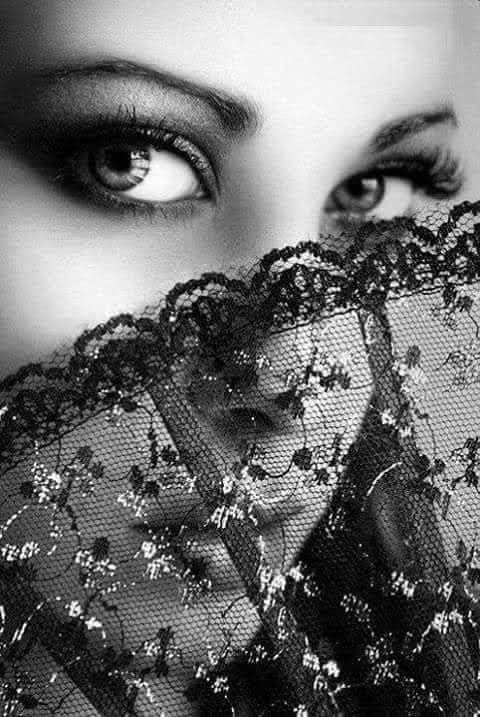 KAFKAS ® tweet media