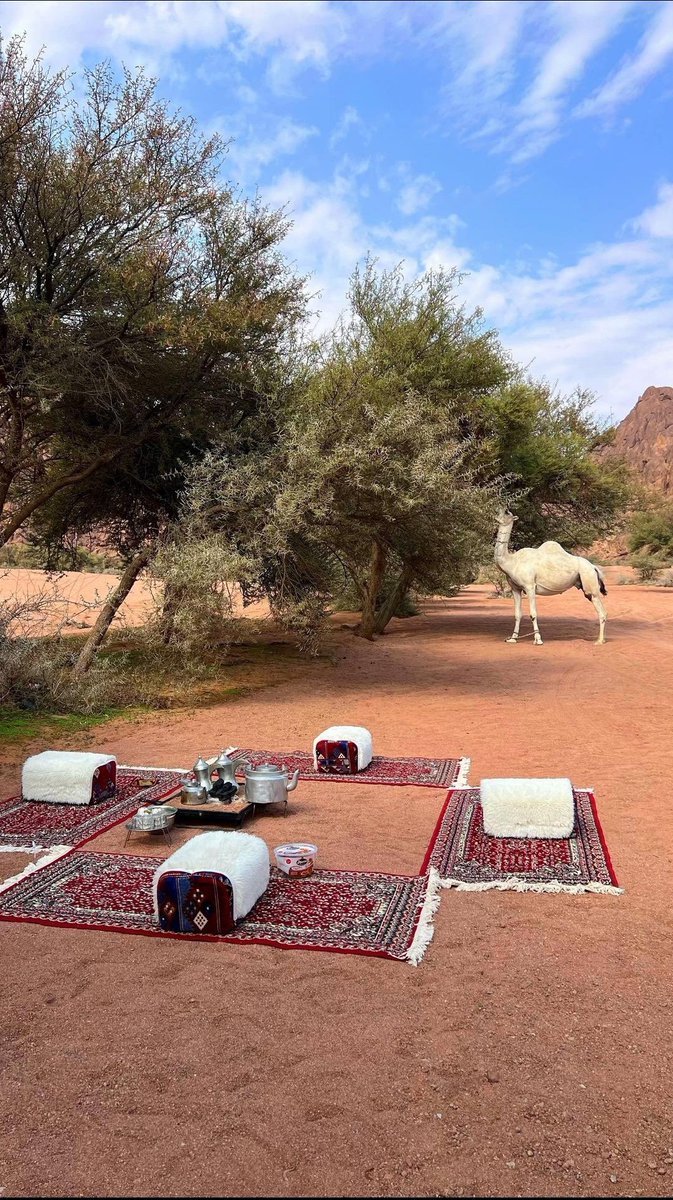 الترياق الشافي 🥣 tweet media