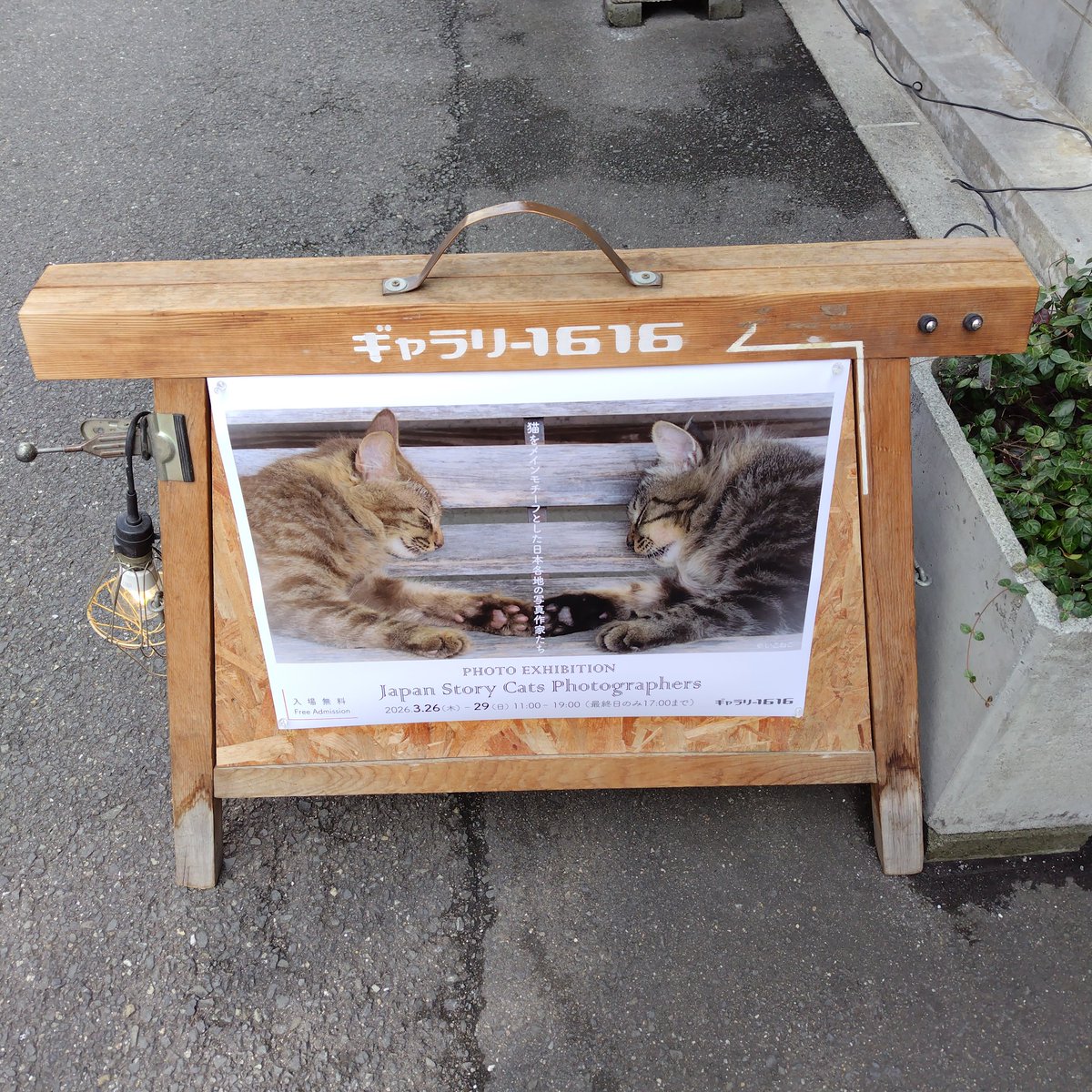tomo_ban's tweet photo. 本日のギャラリーめぐり。ギャラリー1616は猫写真をよく撮る方々による日本中で撮られた写真展。うまい人の作品は物語を感じる。ソニーは風景写真講座の修了展と富山の風景を撮った個展。ずっと撮り続けているから撮れる写真。ビジュアルアーツギャラリーは卒業制作の選抜展。猫写真の人がいた。 https://t.co/sWEFb2Muu6