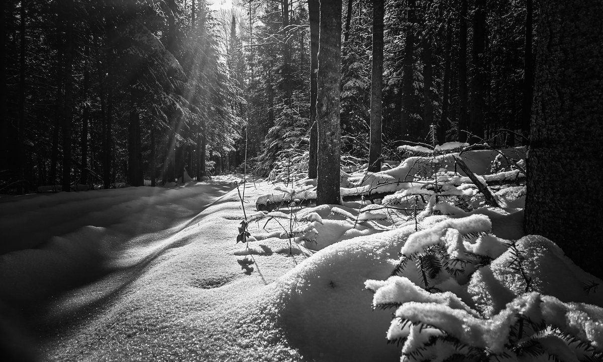 AndygibbAndy's tweet image. Soon to Melt #blackandwhitephotography #snow