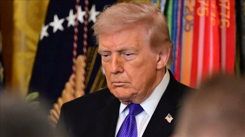 Master Haber tweet media