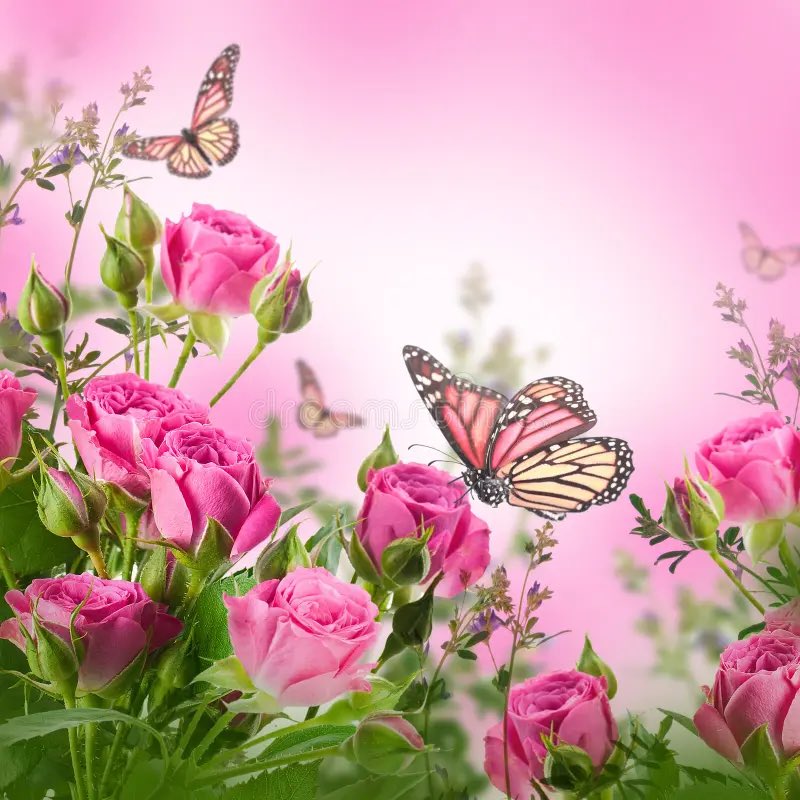 joanie_tweet's tweet image. Good Thursday Morning! 
Maybe the Butterfly is a Reminder that Beauty Can Come From Something Completely Falling Apart.
Remember, Something Will Grow From Whatever You’re Going Through...YOU! 😊❤️🤗
#Butterfly #Grow #ThurdayVibe #ThursdayMotivation