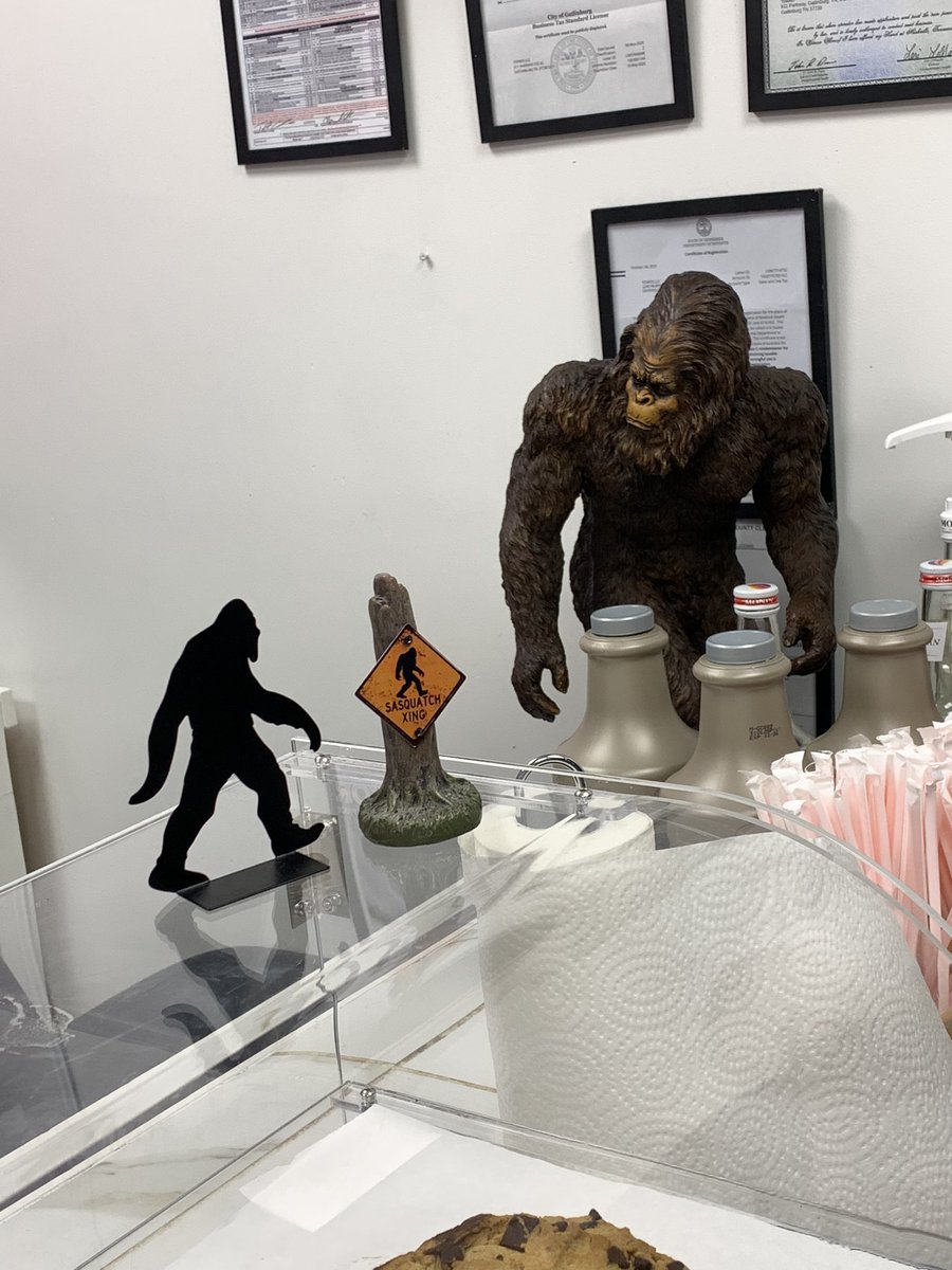 Author Brad Acevedo tweet media