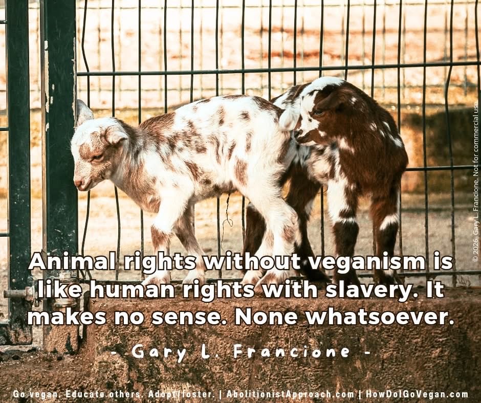 Prof. Gary Francione tweet media