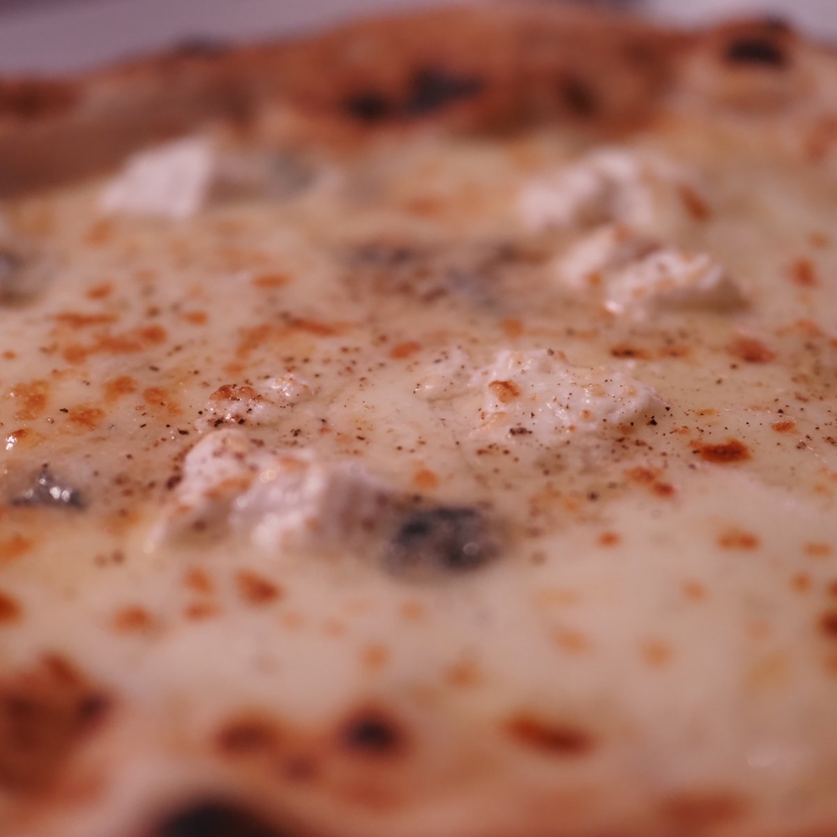 USAGI.NETWORK: Dr.USAGI // うさぎ博士ちゃん tweet media