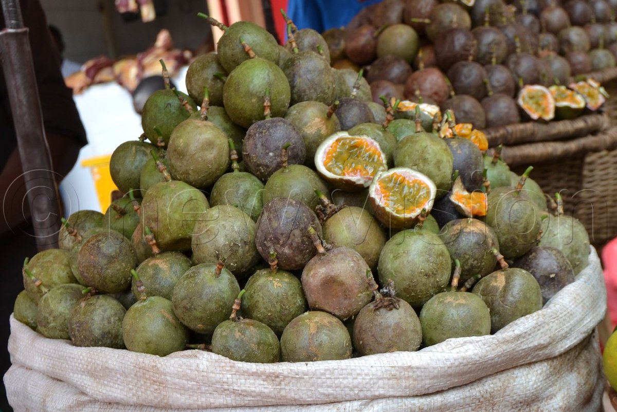 𝐏𝐢𝐜𝐡𝐚 𝐍𝐳𝐮𝐫𝐢 tweet media