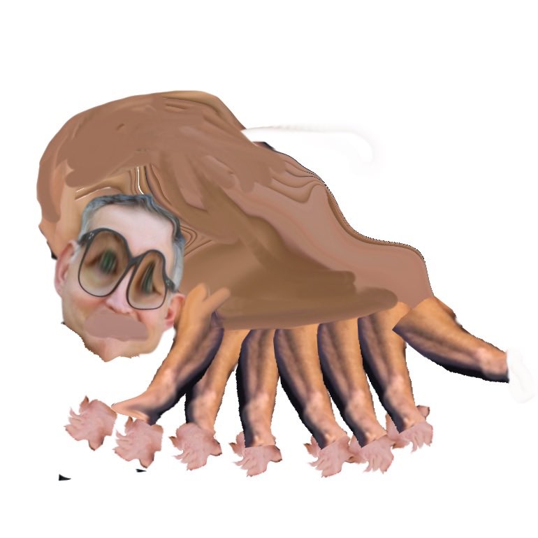 the trader tweet media