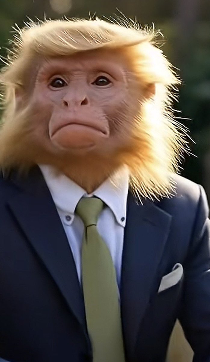 محمد اليوسي tweet media