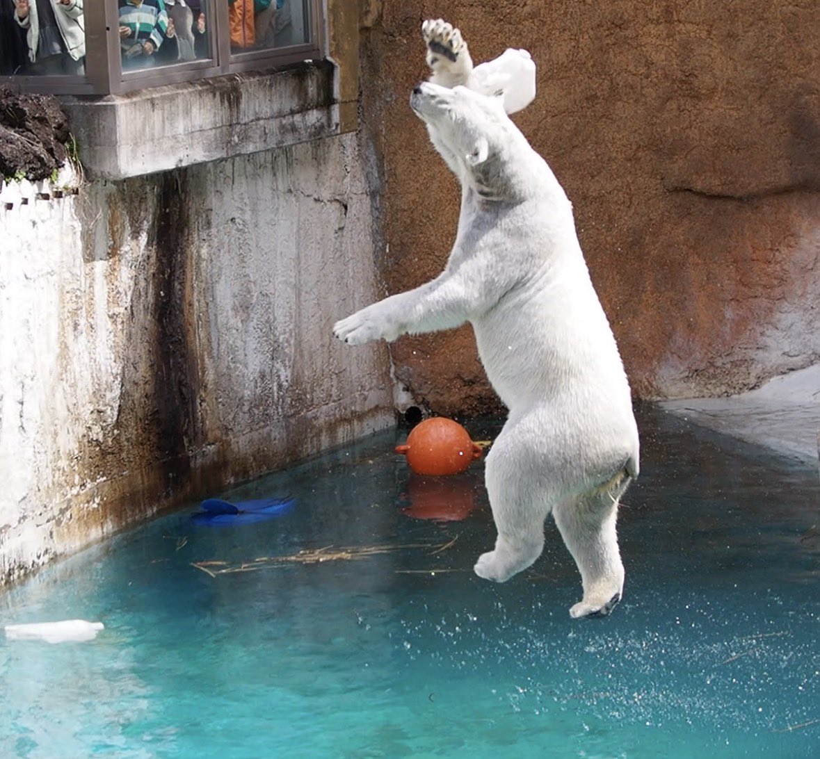 ai_no_te tweet media