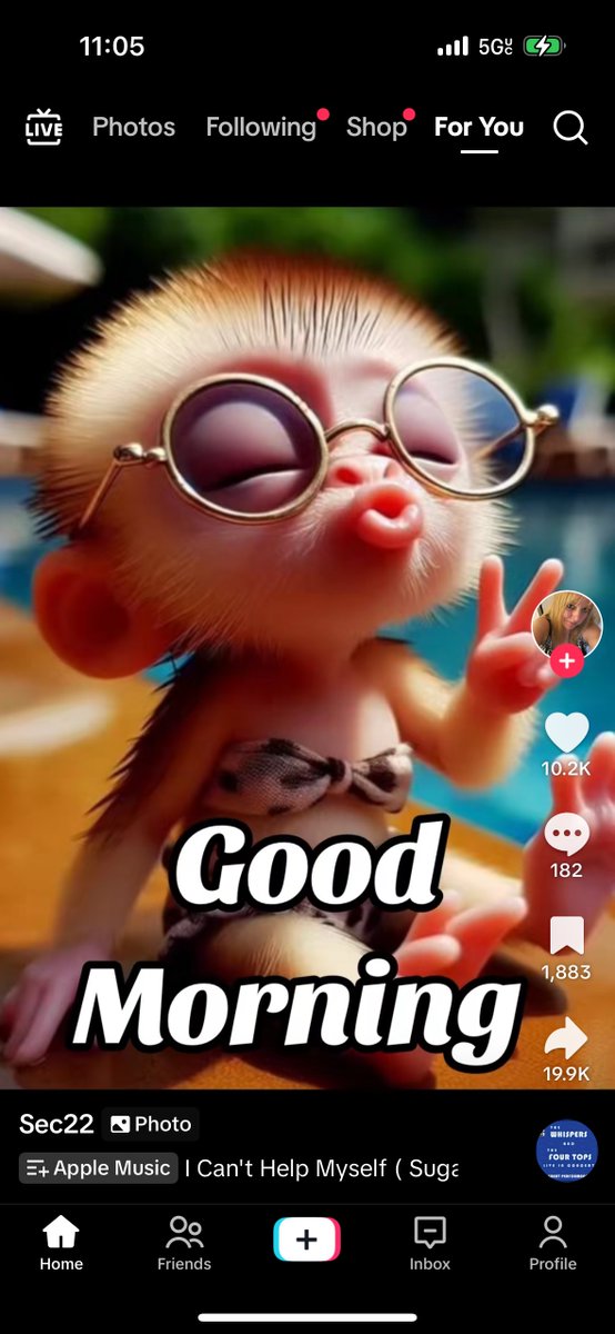 Hanky 058 tweet media