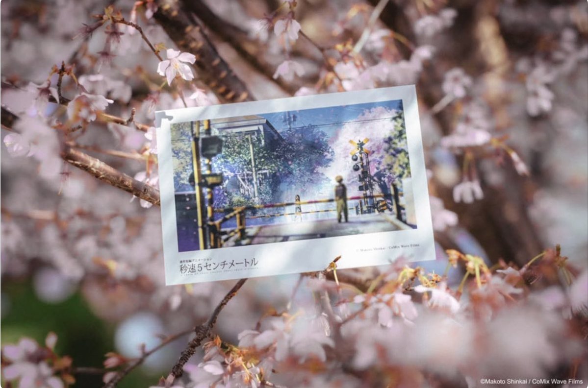 長野相生座 ロキシー tweet media