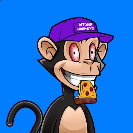 Bitcoin Monkeys tweet media