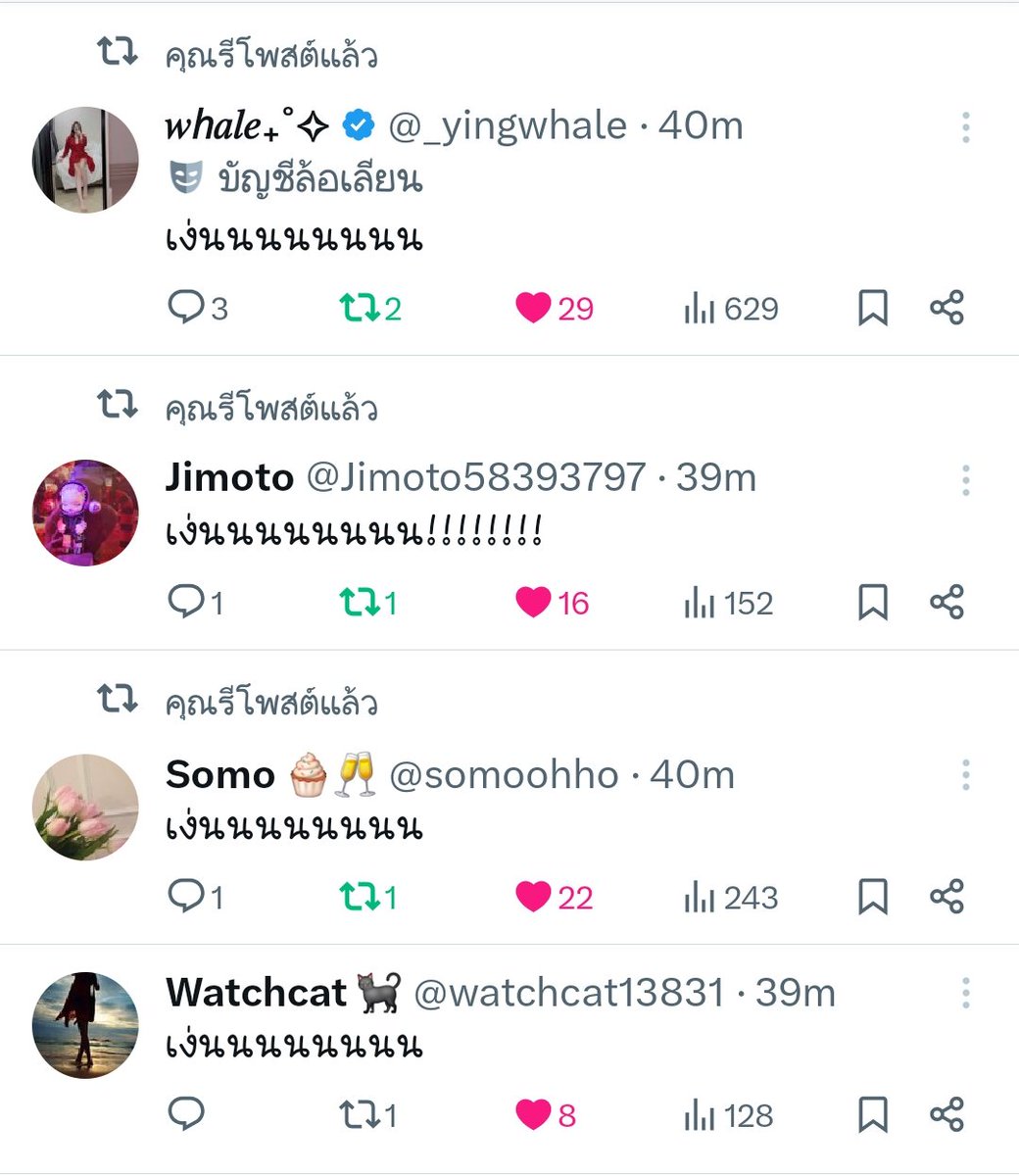 Watchcat 🐈‍⬛ tweet media