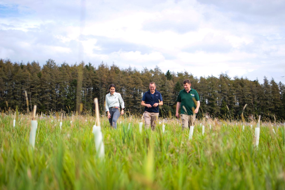 LEAF Education tweet media