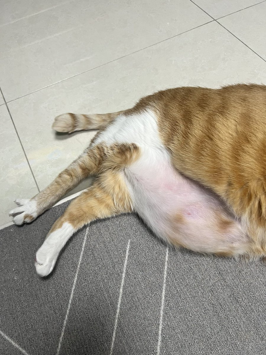 금동이🎊 tweet media