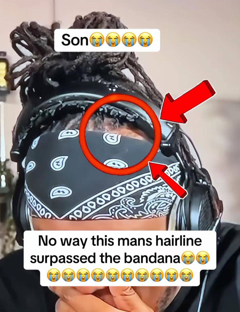 Braindead Bird App tweet media