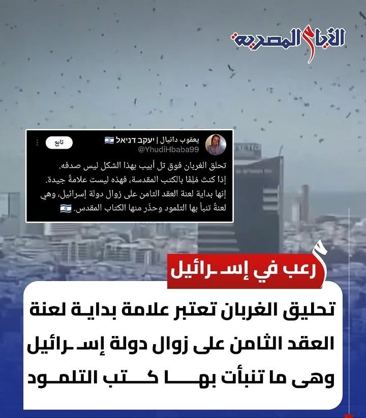 ذكوري حتى النخاع ♂️ tweet media