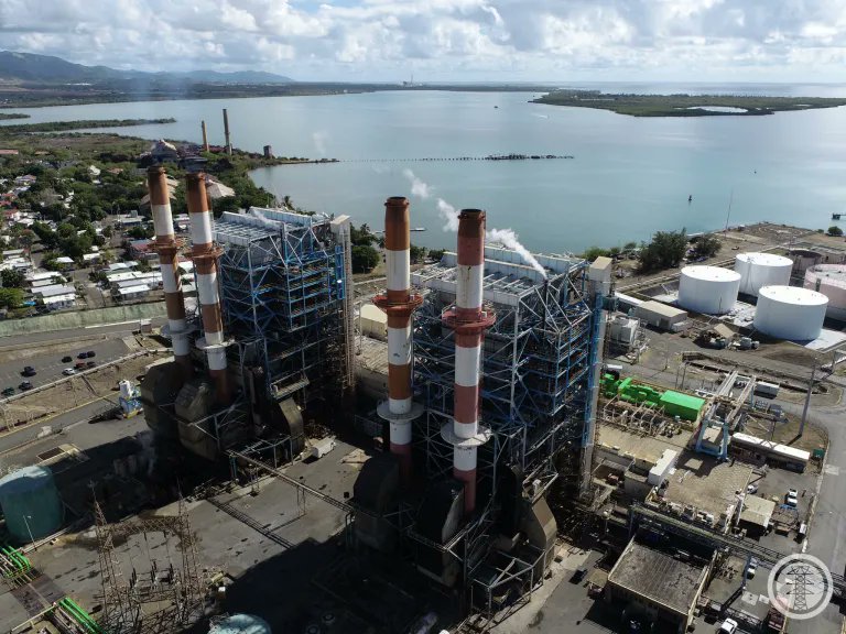 Sin Comillas tweet media