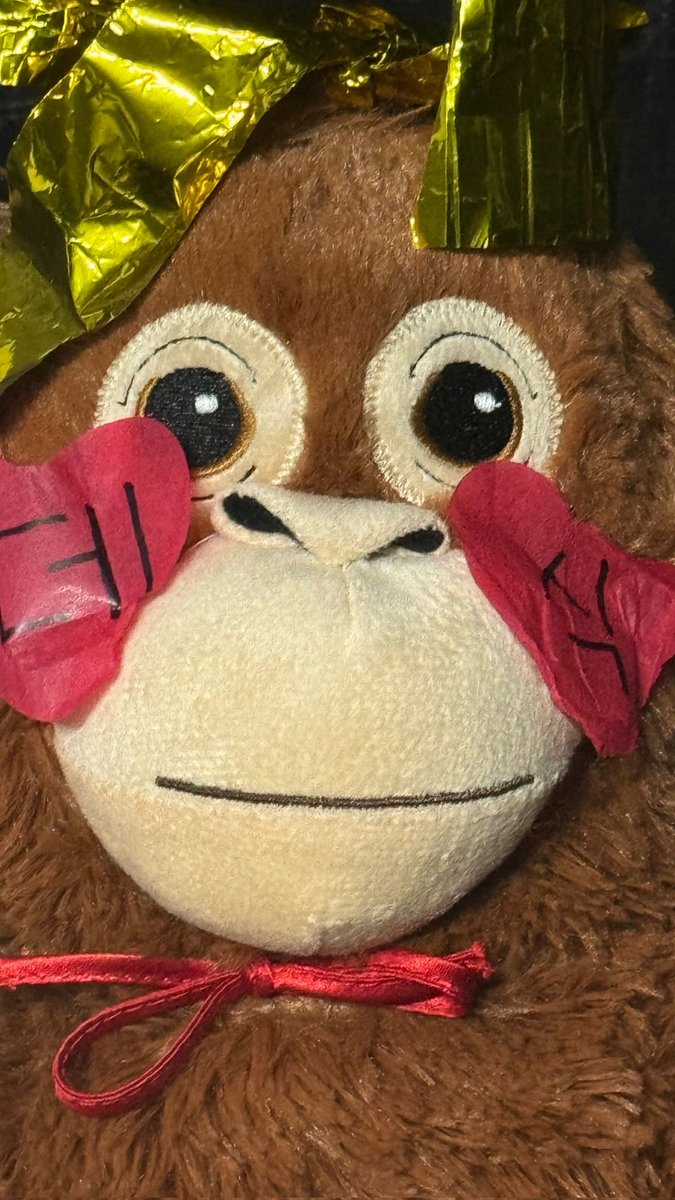 꺅꺅🥹🌸 tweet media