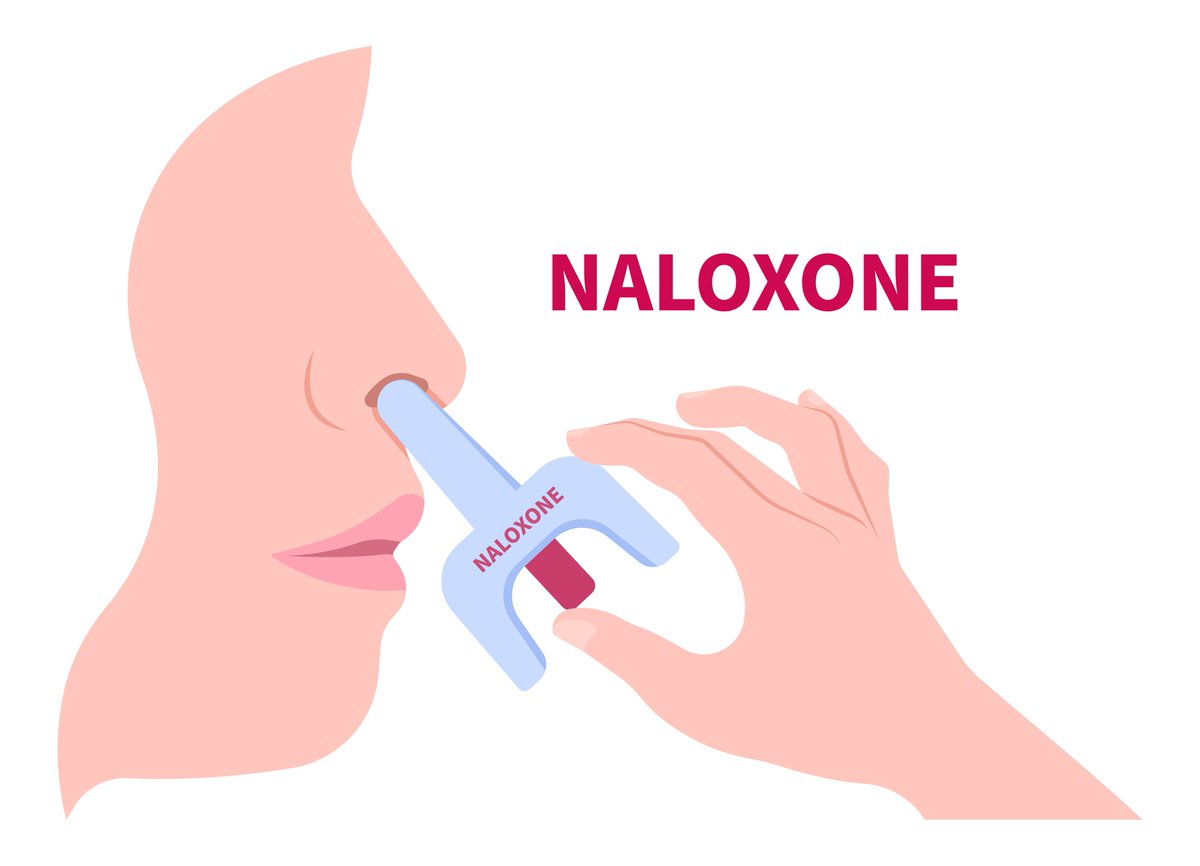 NursingCenter's tweet image. Classroom learning isn't enough for emergency prep. A new study reveals how combining didactic methods and hands-on naloxone training builds the skills college students need to manage opioid overdoses. Read the findings. ow.ly/O8S350YxF8J

#OpioidAwareness @AmJNurs