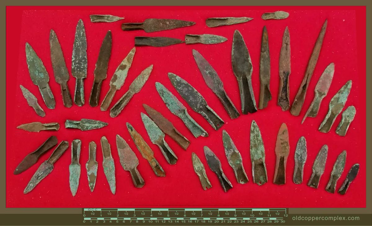 CopperViolette tweet media