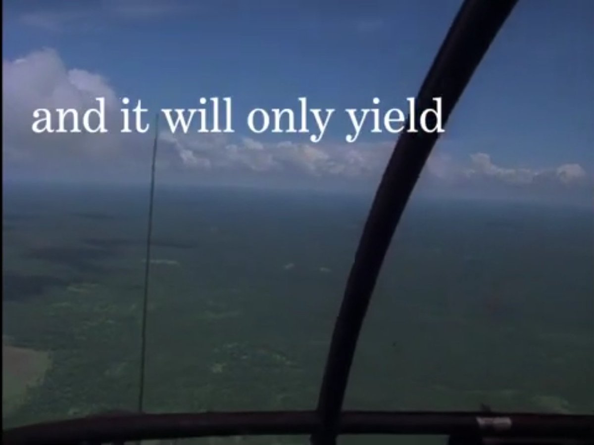 Serdâr 🚩🐏 tweet media