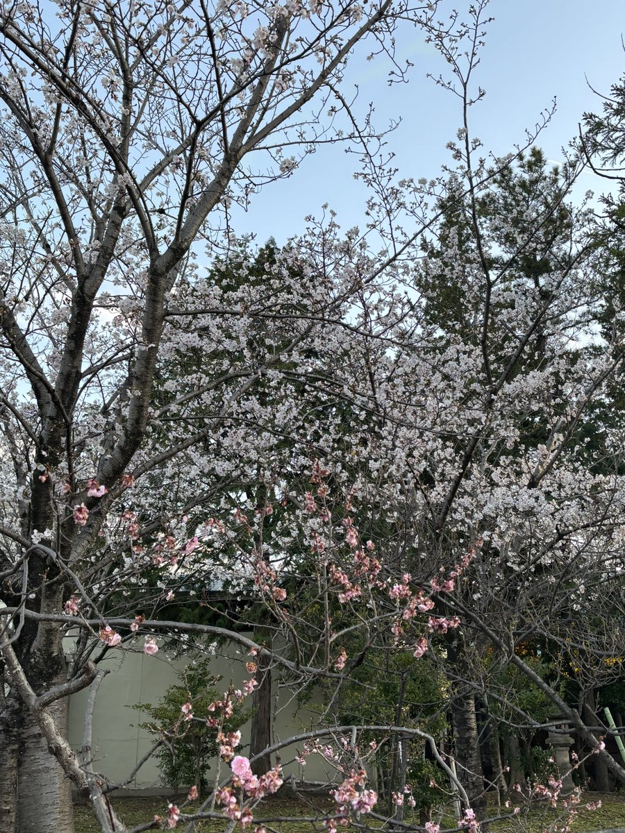 ぬらめき🍄👁 tweet media