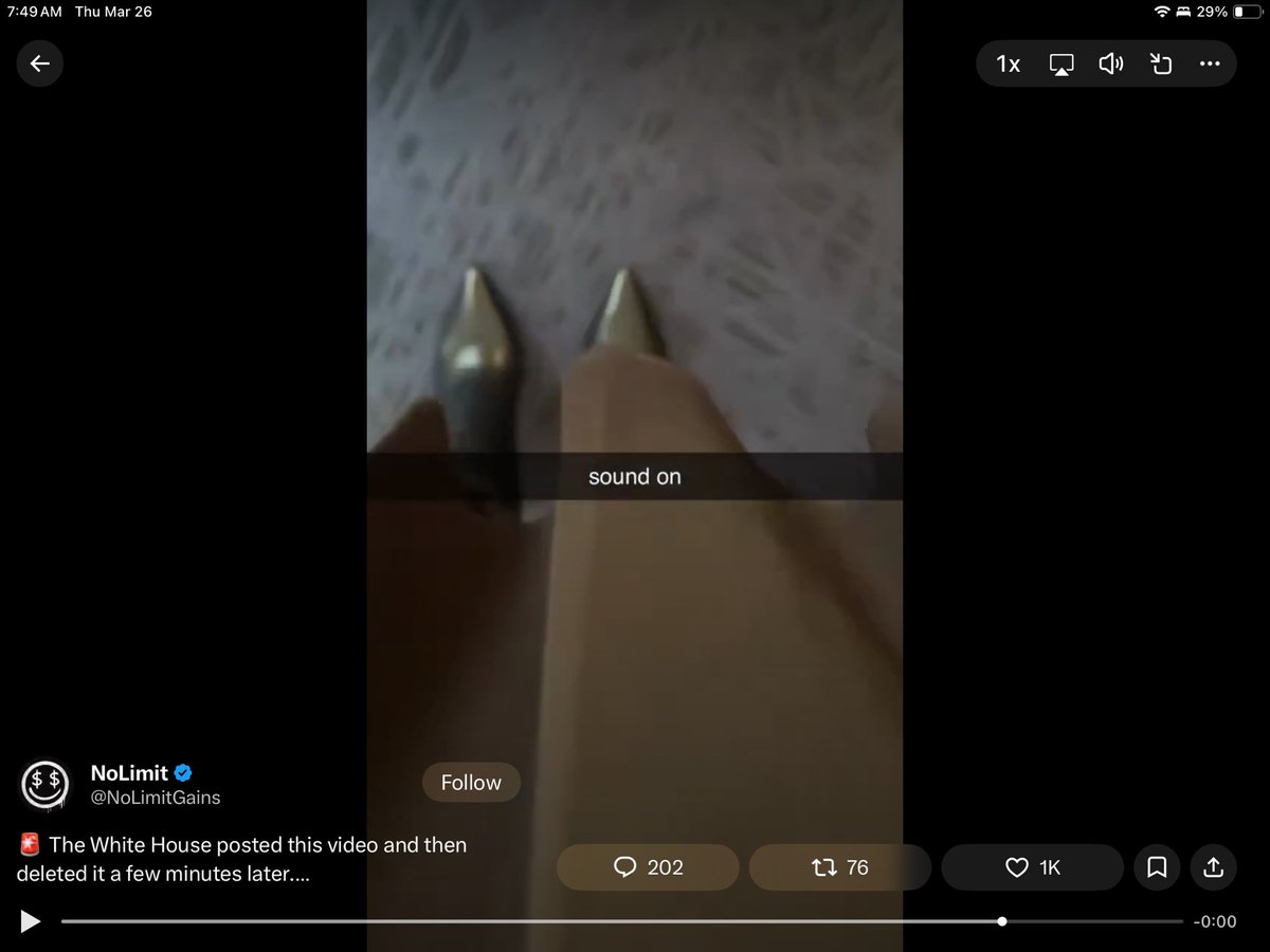 FUZZYBOOMER🐻🪝 tweet media