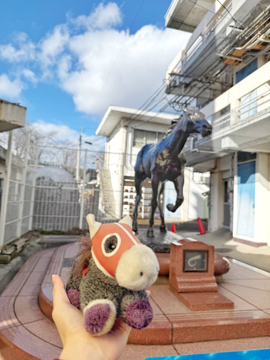 Ryukku-K tweet media