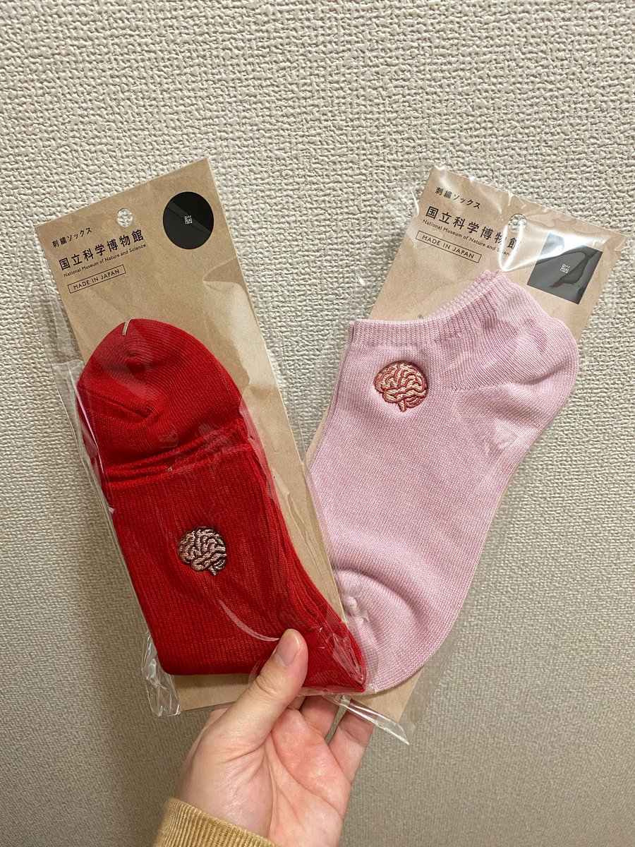 脳みそ夫 tweet media