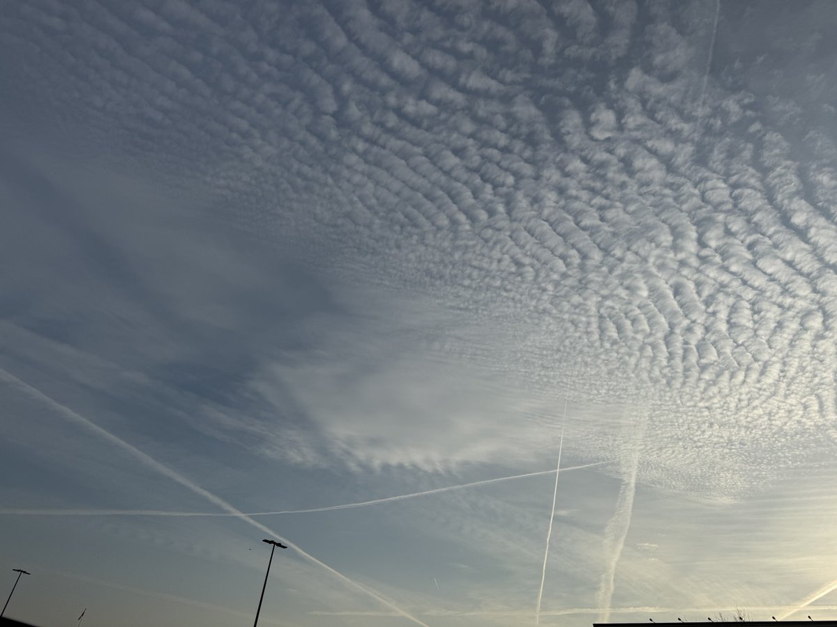 SGT of Marines! tweet media