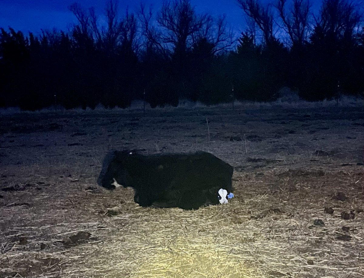 Doug Severson tweet media