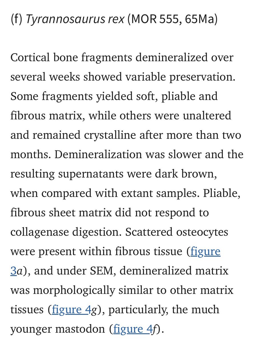 Christopher Chambers (He/Him/His) tweet media