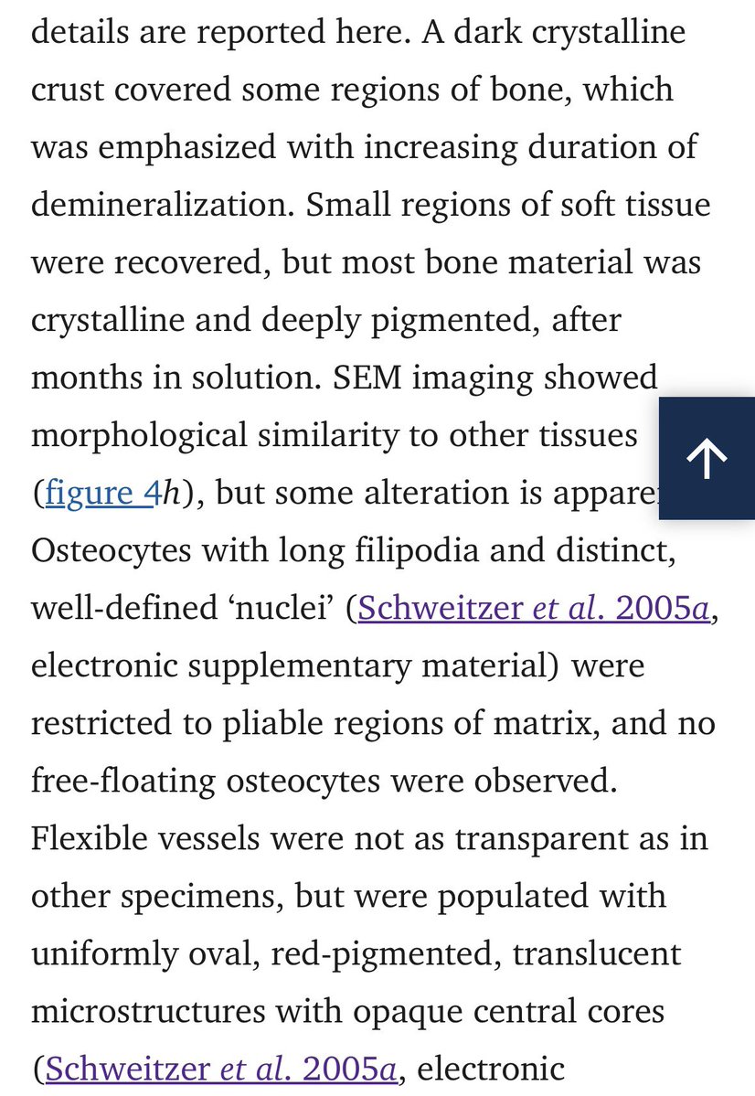 Christopher Chambers (He/Him/His) tweet media