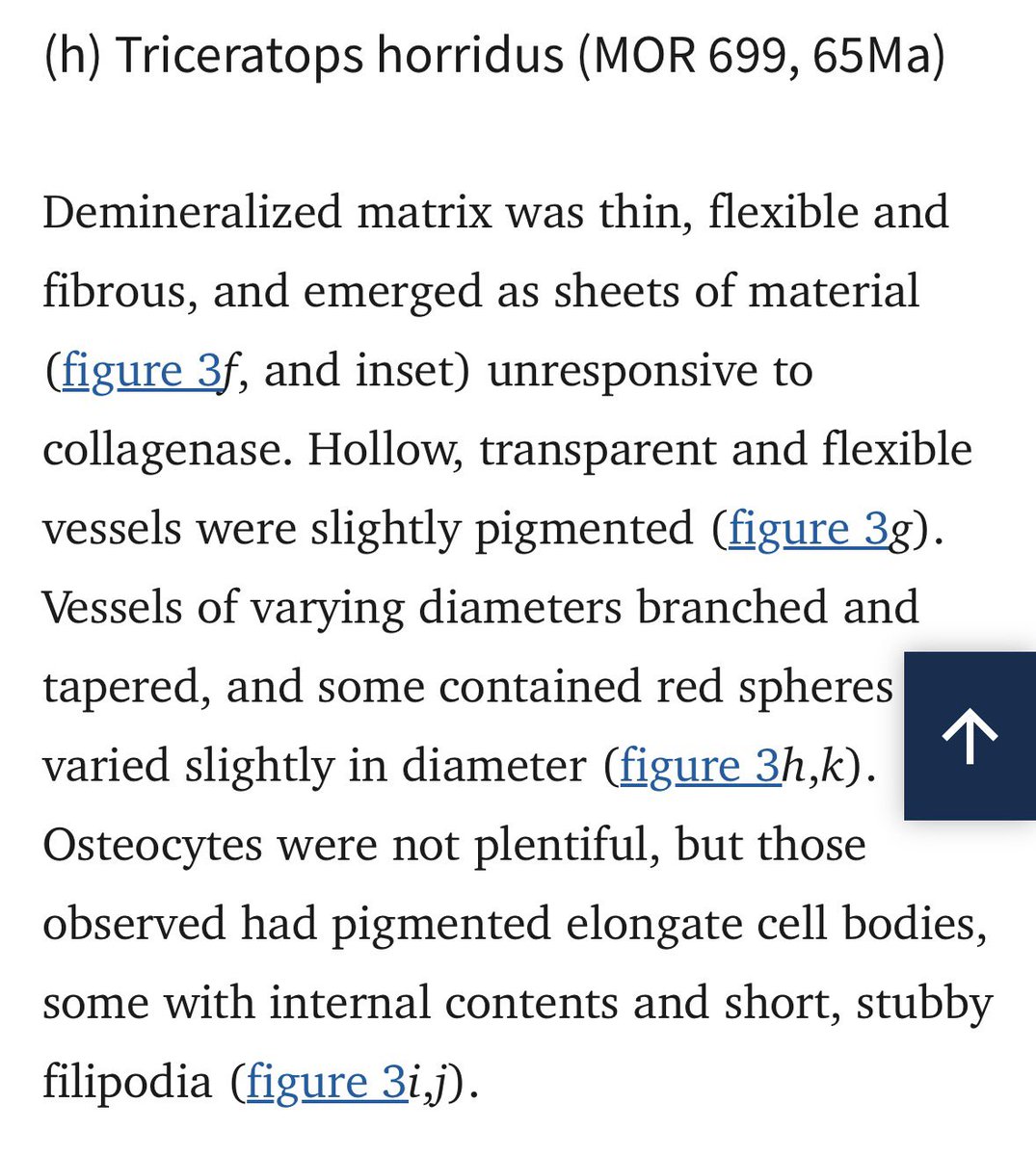Christopher Chambers (He/Him/His) tweet media