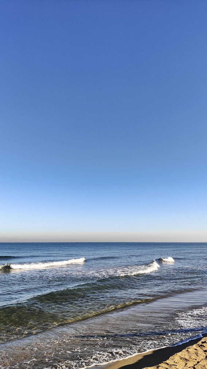 ๐ถ๐ป tweet media