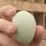 Red Cell for America tweet media