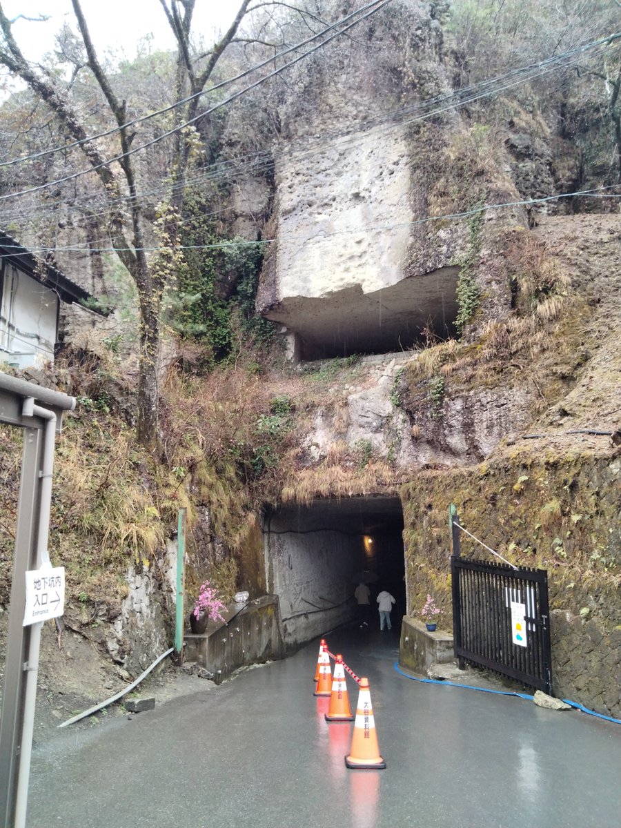 もうかのほし tweet media