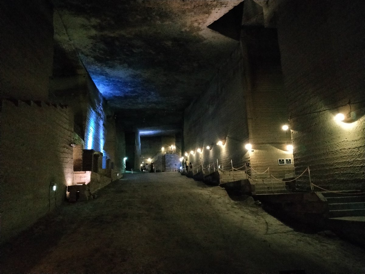 もうかのほし tweet media